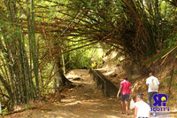 Nature 3