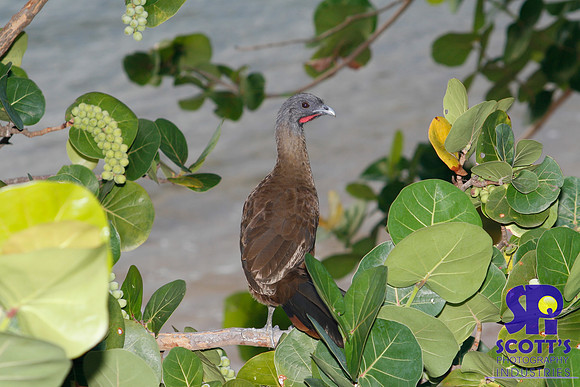 Nature 25