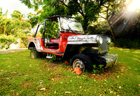 DSC01813-van