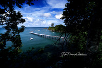 DSC01799A